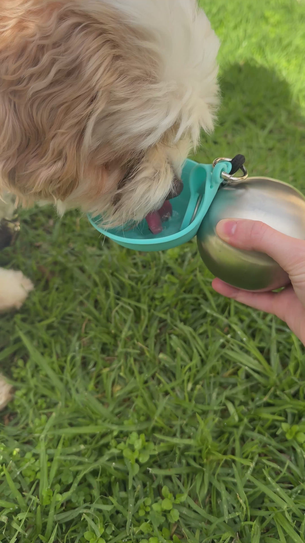 The Adventure Bottle™